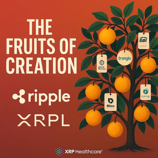 The Fruits of Creation: How Ripple and XRPL Grew a Global Ecosystem by Innovating, Not Competing
